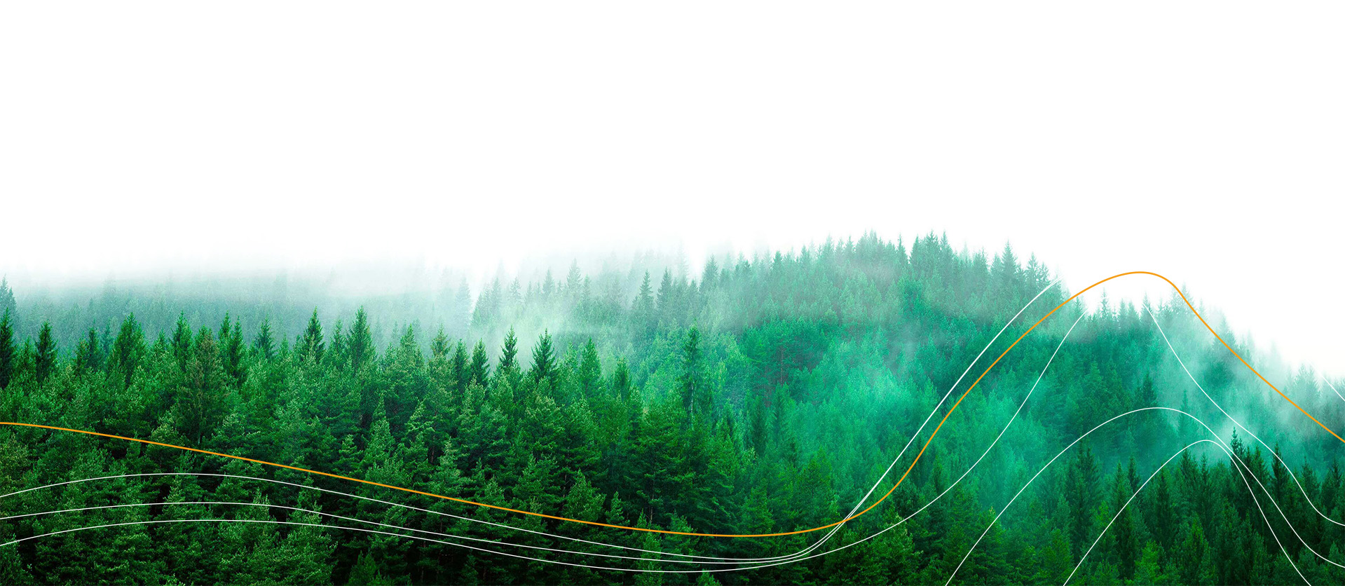 Business_Integrity_Background_1