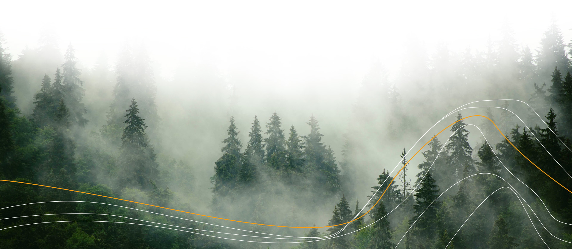 Social_Sustainabilit_Background_1