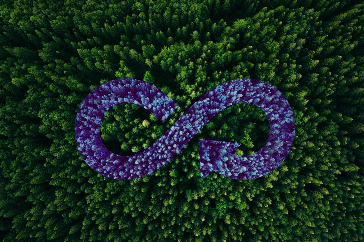 aumovio engineering solutions remanufacturing