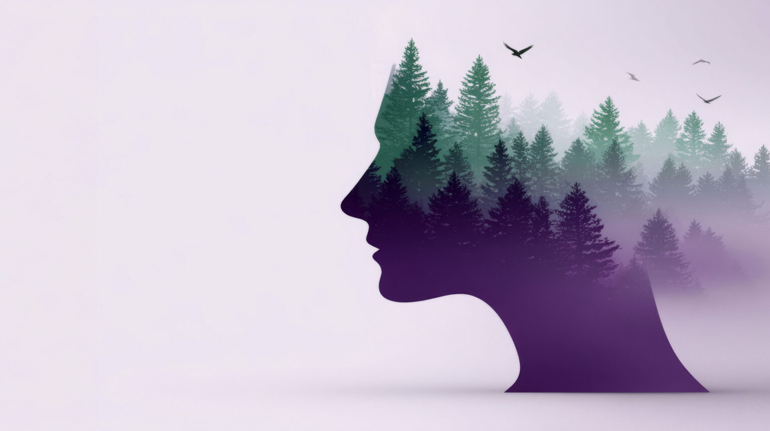 aumovio engineering solutions women in engineering